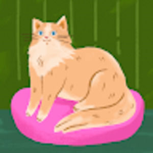 Meet your Posher, Dakota